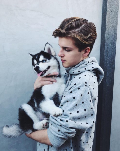 15 Celebrities Who Are Major Husky Lovers 9 15 Celebrities Who Are Major Husky Lovers 9