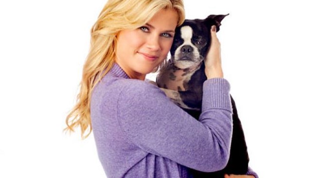 12 Celebrities Who Are Major Boston Terrier Lovers 9 12 Celebrities Who Are Major Boston Terrier Lovers 9