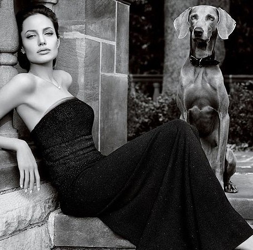 10 Celebrities Who Are Major Weimaraner Lovers 10