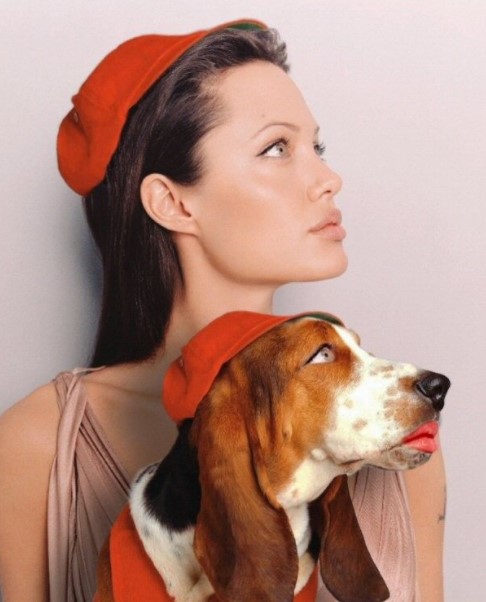 13 Celebrities Who Are Major Basset Hound Lovers 9 13 Celebrities Who Are Major Basset Hound Lovers 9