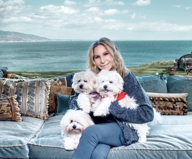 15 Celebrities Who Are Major Bichon Frise Lovers 9