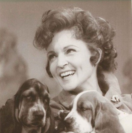 13 Celebrities Who Are Major Basset Hound Lovers 10 13 Celebrities Who Are Major Basset Hound Lovers 10