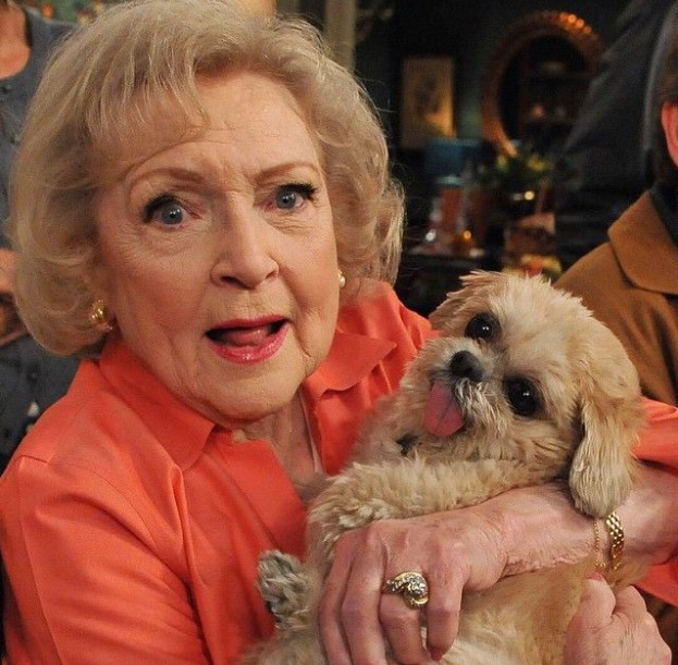 13 Celebrities Who Are Major Shih Tzu Lovers 10 13 Celebrities Who Are Major Shih Tzu Lovers 10