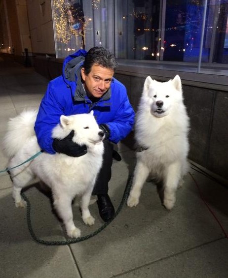 12 Celebrities Who Are Major Samoyed Lovers 9