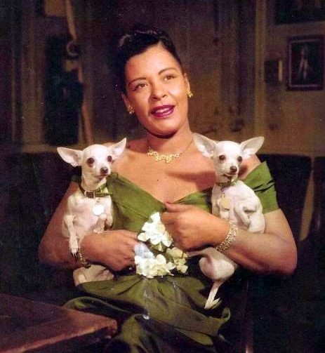 15 Celebrities Who Are Major Chihuahua Lovers 11 15 Celebrities Who Are Major Chihuahua Lovers 11