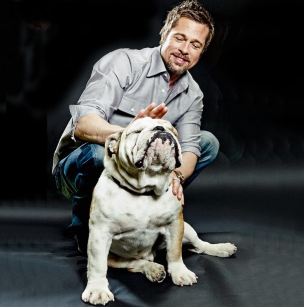 15 Celebrities Who Are Major English Bulldog Lovers 10 15 Celebrities Who Are Major English Bulldog Lovers 10