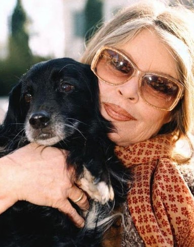 15 Celebrities Who Are Major Cocker Spaniel Lovers 9