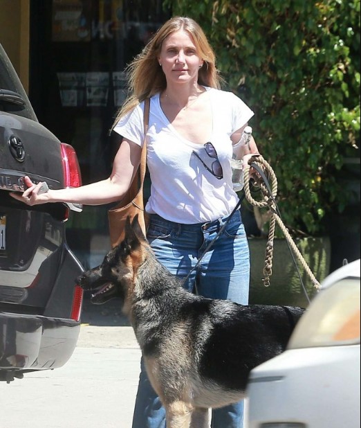 15 Celebrities Who Are Major German Shepherd Lovers 10