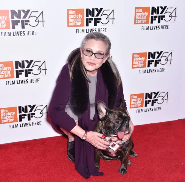 16 Celebrities Who Are Major French Bulldog Lovers 9 16 Celebrities Who Are Major French Bulldog Lovers 9