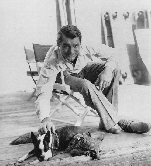 12 Celebrities Who Are Major Boston Terrier Lovers 10 12 Celebrities Who Are Major Boston Terrier Lovers 10