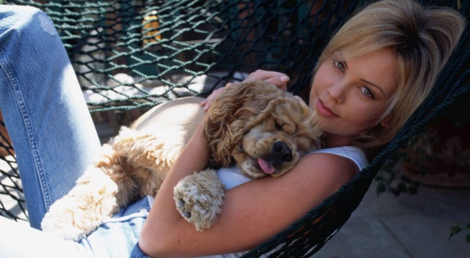 15 Celebrities Who Are Major Cocker Spaniel Lovers 11