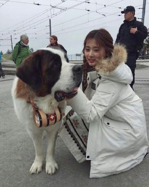 16 Celebrities Who Are Major St. Bernard Lovers 10