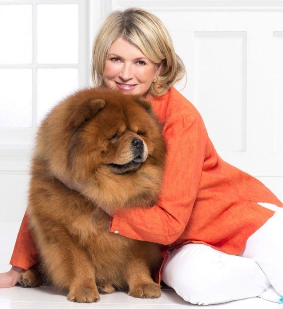 14 Celebrities Who Are Major Chow Chow Lovers 11 14 Celebrities Who Are Major Chow Chow Lovers 11