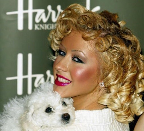 15 Celebrities Who Are Major Bichon Frise Lovers 10