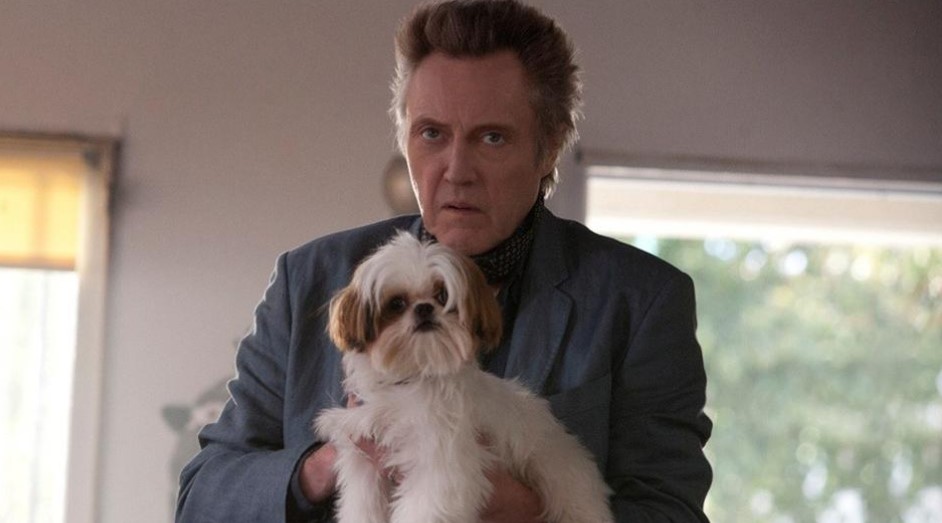 13 Celebrities Who Are Major Shih Tzu Lovers 5