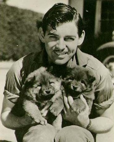 14 Celebrities Who Are Major Chow Chow Lovers 9