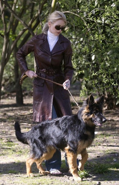 15 Celebrities Who Are Major German Shepherd Lovers 11