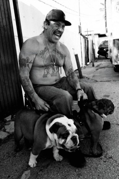 15 Celebrities Who Are Major English Bulldog Lovers 9