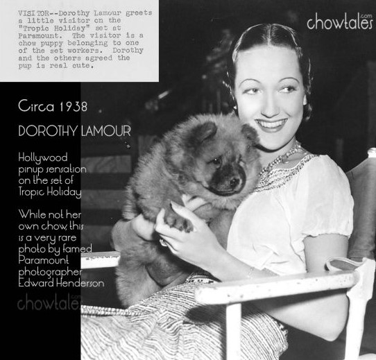 14 Celebrities Who Are Major Chow Chow Lovers 11