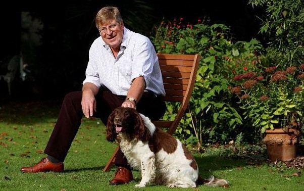 10 Celebrities Who Are Major Springer Spaniel Lovers 9