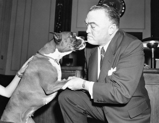 13 Celebrities Who Are Major Boxer Dog Lovers 32 13 Celebrities Who Are Major Boxer Dog Lovers 32