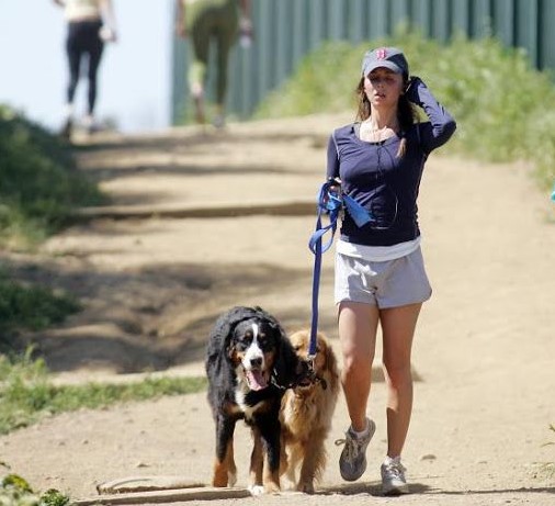 10 Celebrities Who Are Major Bernese Mountain Dog Lovers 9 10 Celebrities Who Are Major Bernese Mountain Dog Lovers 9