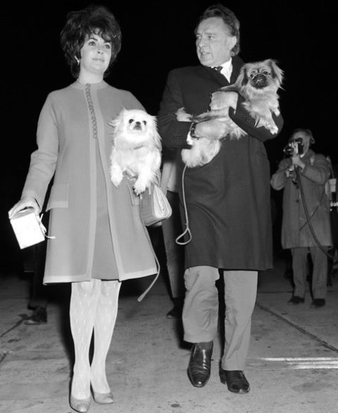 14 Celebrities Who Are Major Pekingese Lovers 10