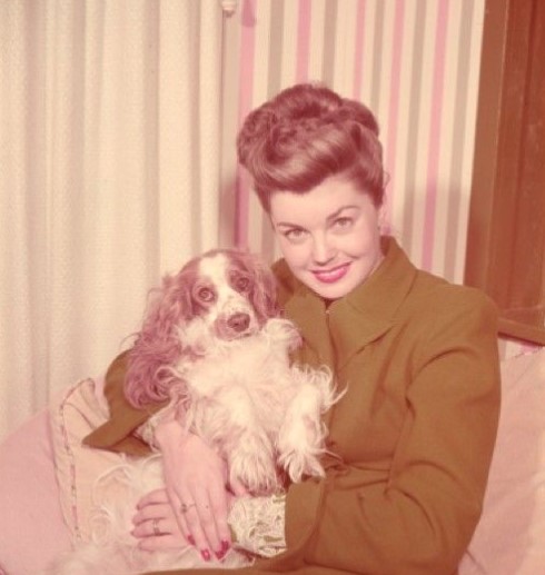 15 Celebrities Who Are Major Cocker Spaniel Lovers 10