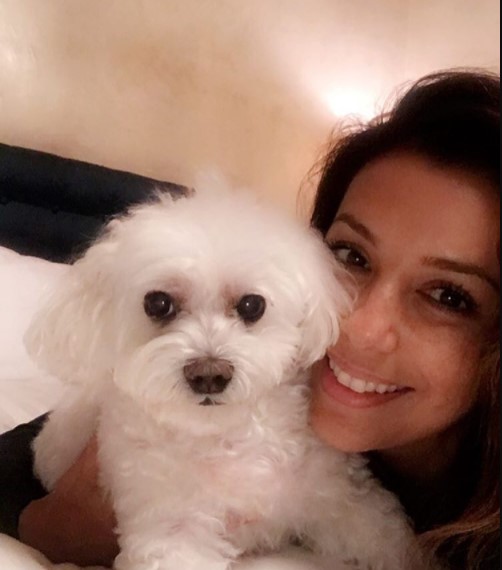 15 Celebrities Who Are Major Bichon Frise Lovers 9