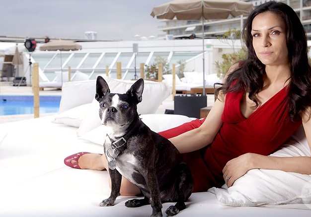 12 Celebrities Who Are Major Boston Terrier Lovers 11 12 Celebrities Who Are Major Boston Terrier Lovers 11