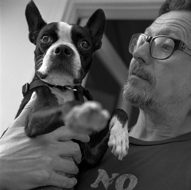 12 Celebrities Who Are Major Boston Terrier Lovers 9