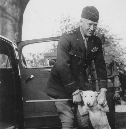 15 Celebrities Who Are Major English Bull Terrier Lovers 38 15 Celebrities Who Are Major English Bull Terrier Lovers 38