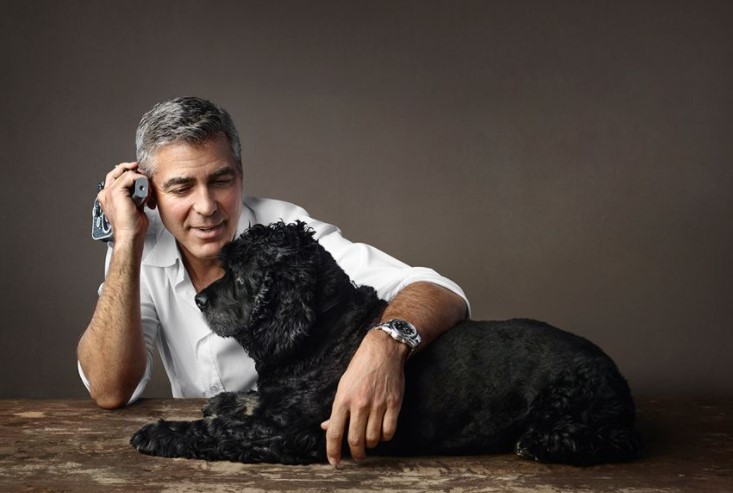 15 Celebrities Who Are Major Cocker Spaniel Lovers 9