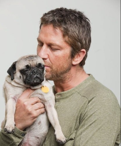 15 Celebrities Who Are Major Pug Lovers 37 15 Celebrities Who Are Major Pug Lovers 37