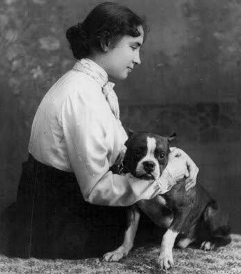 12 Celebrities Who Are Major Boston Terrier Lovers 10