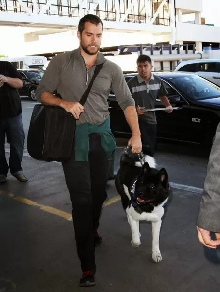 10 Celebrities Who Are Major Akita Inu Lovers 9