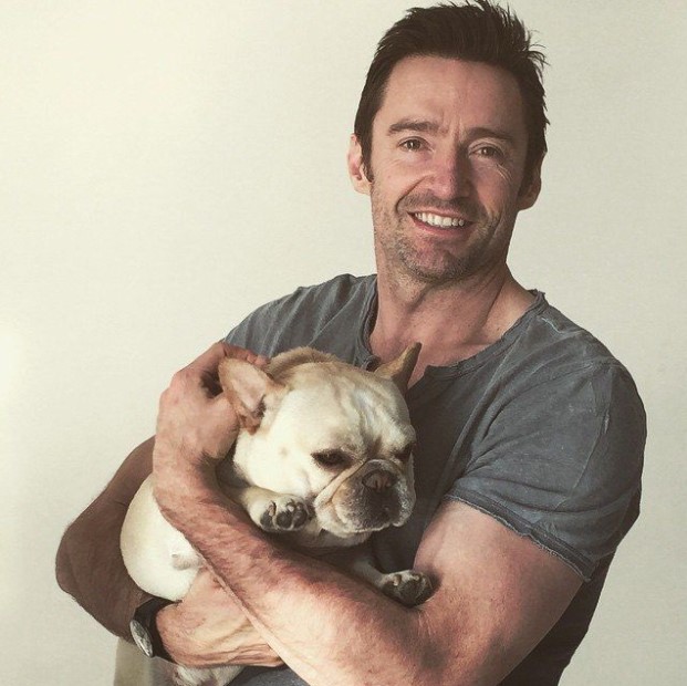 16 Celebrities Who Are Major French Bulldog Lovers 11