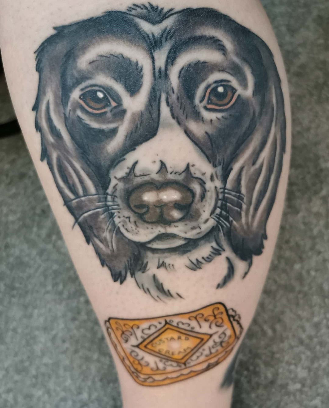 15 Ideas for a Springer Spaniel Tattoo 9