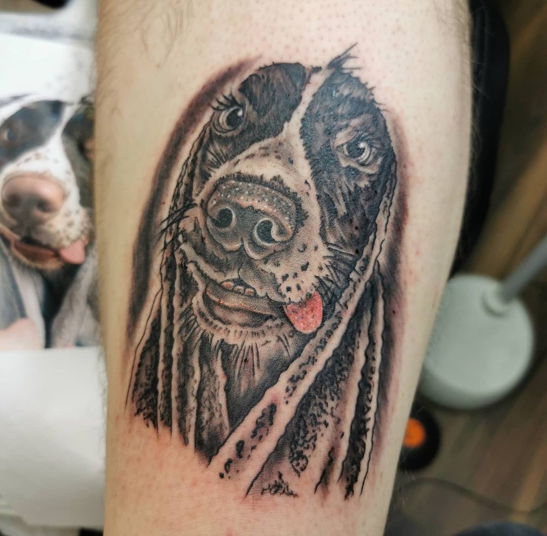 15 Ideas for a Springer Spaniel Tattoo 10