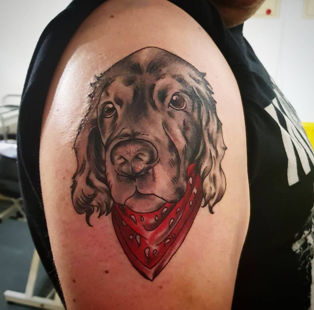 15 Ideas for a Springer Spaniel Tattoo 11