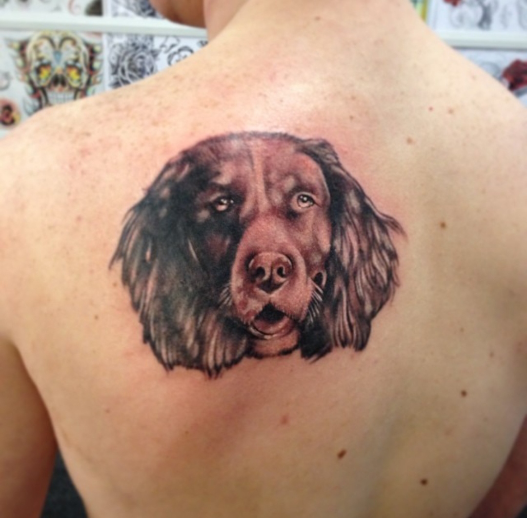15 Ideas for a Springer Spaniel Tattoo 9