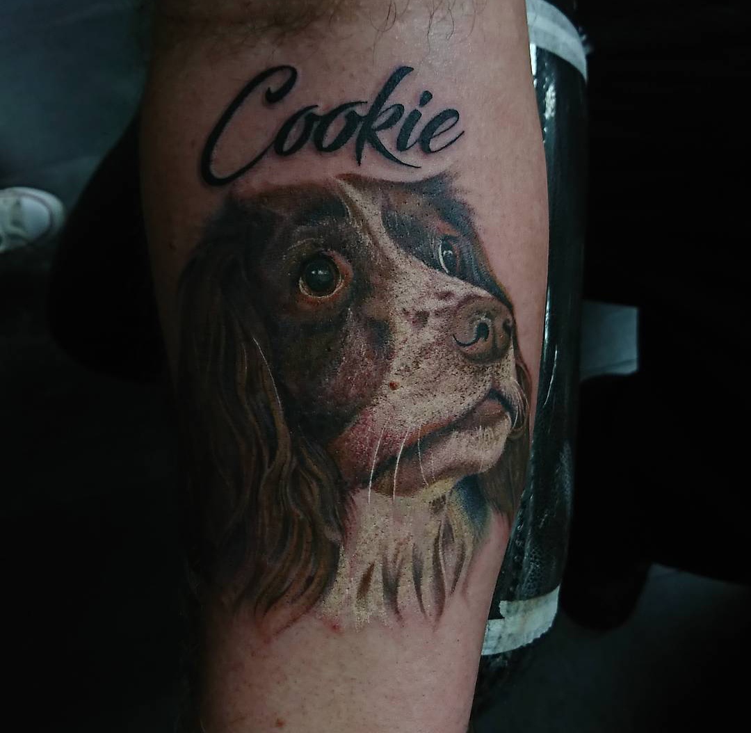 15 Ideas for a Springer Spaniel Tattoo 9