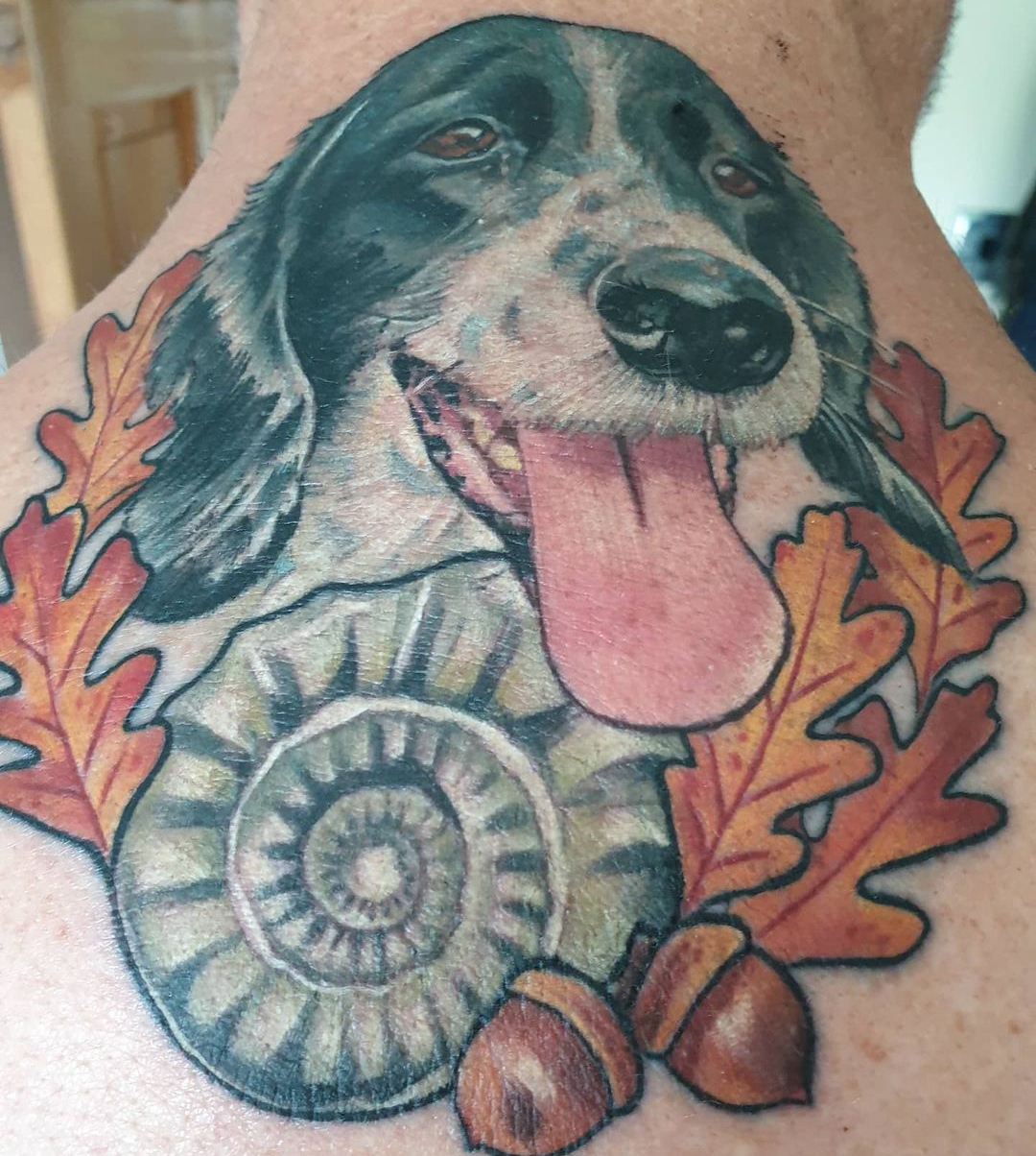 15 Ideas for a Springer Spaniel Tattoo 11