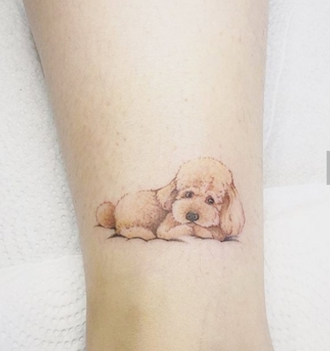 15 Labradoodle Tattoo Ideas 11