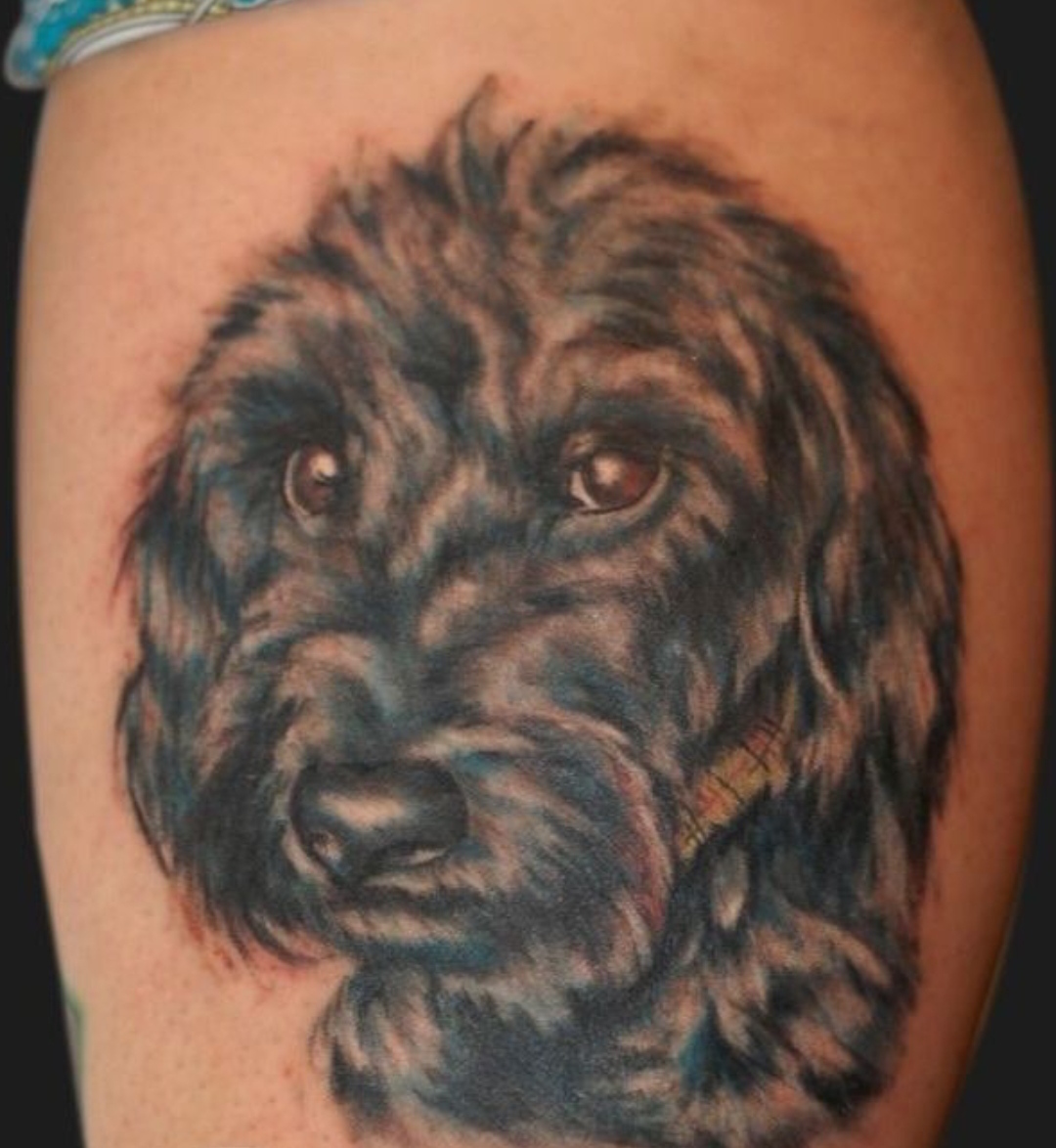 15 Labradoodle Tattoo Ideas 10