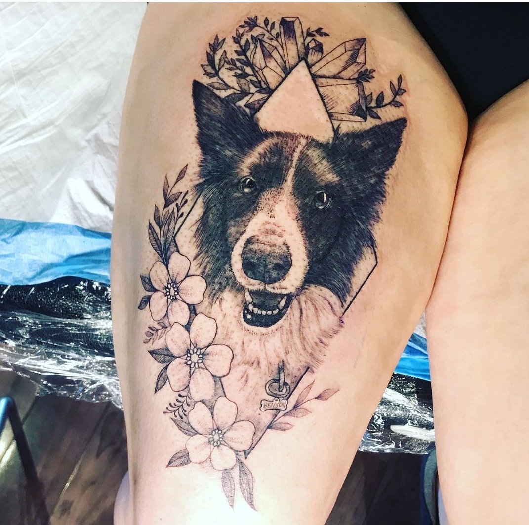 15 Border Collie Tattoo Ideas 10