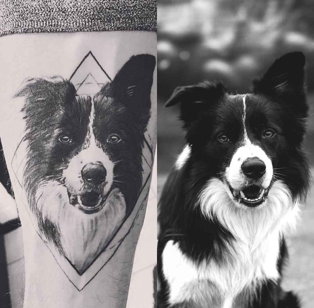 15 Border Collie Tattoo Ideas 11