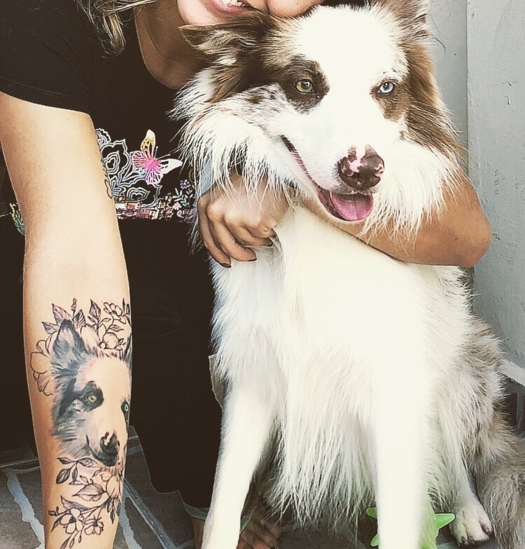 15 Border Collie Tattoo Ideas 9