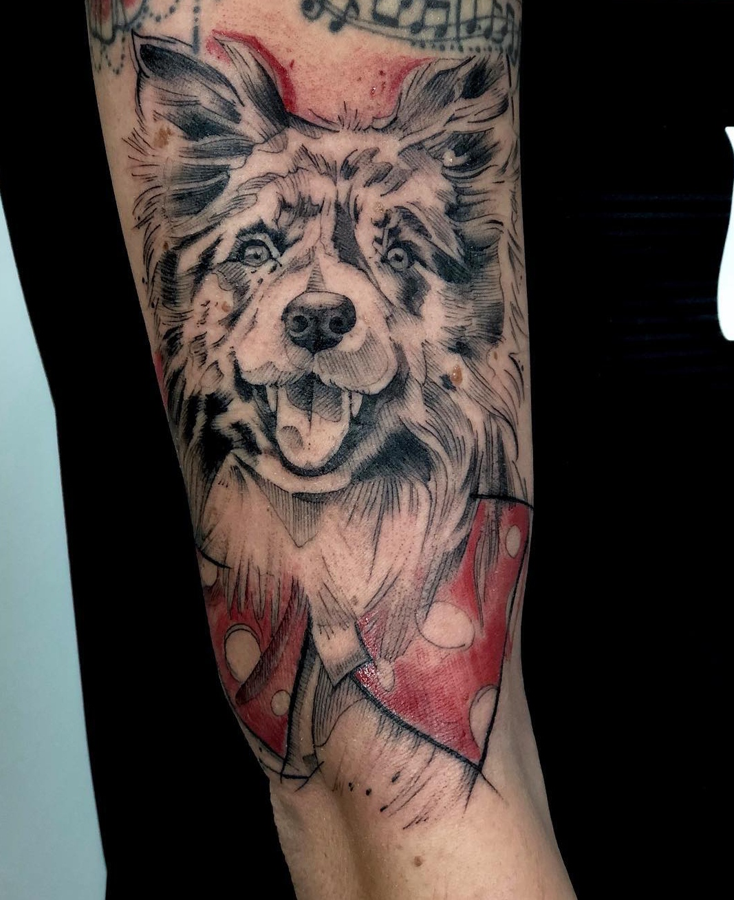 15 Border Collie Tattoo Ideas 10