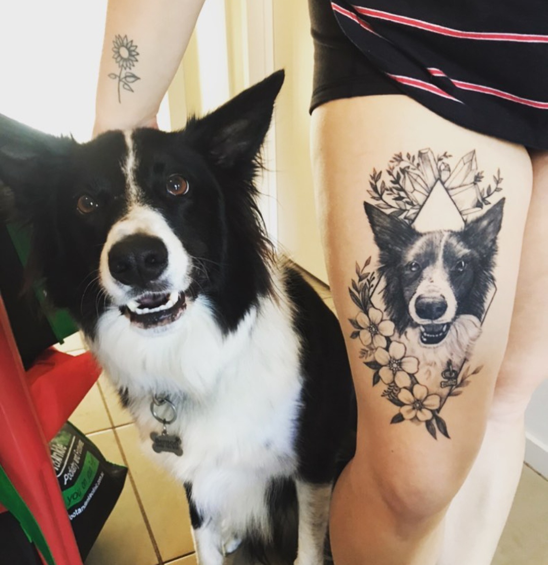 15 Border Collie Tattoo Ideas 9